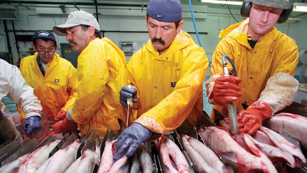 Seafood processors from different countries working together. Image Credit: American Seafoods Group