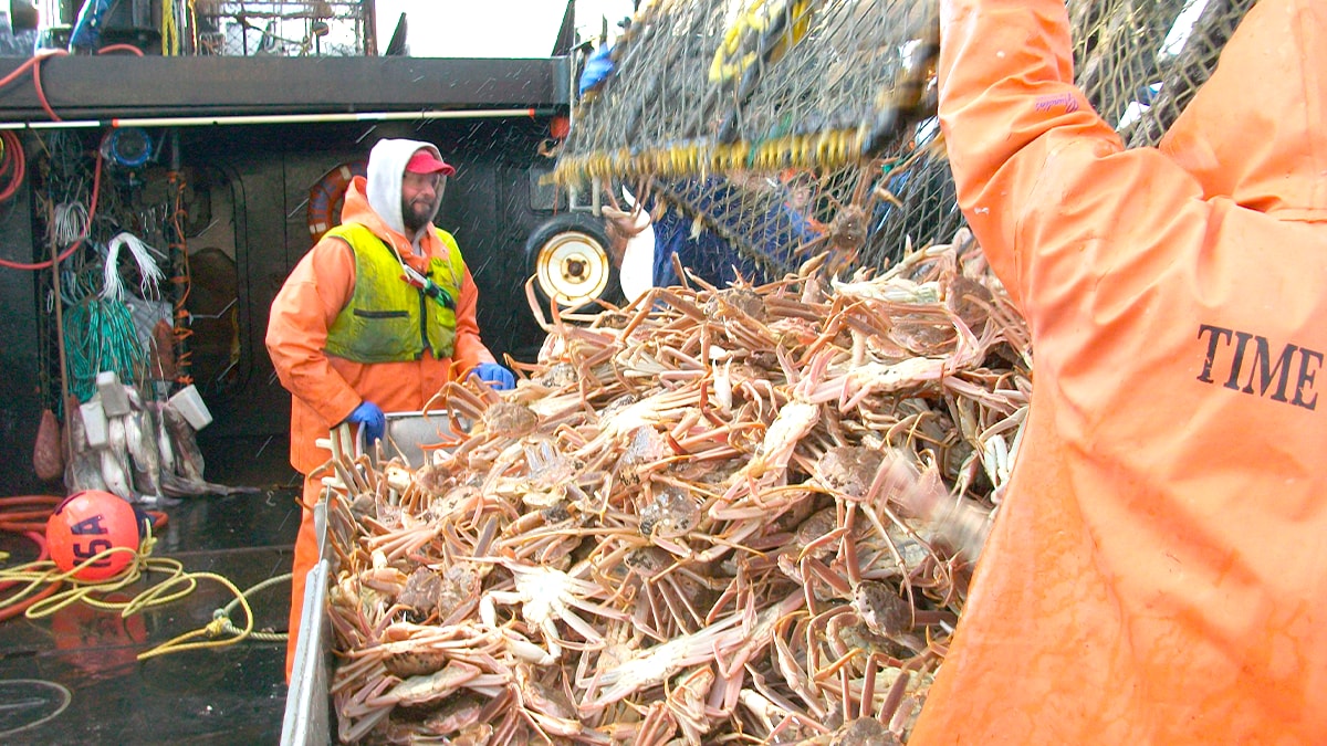 Commercial fishermen hauling a crab pot on deck in the Bering Sea. Photo by Johnathan Hillstrand