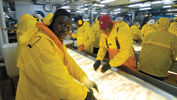 Seafood processing workers inspect fish through a light table. Image credit: American Seafoods Group