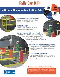 Image of Falls Can Kill! infographic
