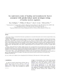 Image of publication An Exploratory Study of Loading and Morphometric Factors Associated with Specific Failure Modes in Fatigue Testing of Lumbar Motion Segments