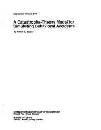Image of publication A Catastrophe-Theory Model for Simulating Behavioral Accidents