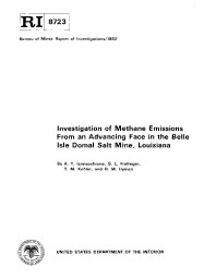 Image of publication Investigation of Methane Emissions From an Advancing Face in the Belle Isle Domal Salt Mine, Louisiana