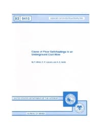 Image of publication Cause of Floor Self-Heatings in an Underground Coal Mine