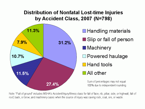 Chart of the distribution of nonfatal lost-time injuries by accident class, 2007 (see data table below)