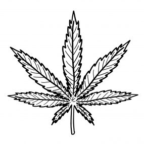 Marijuana leaf drawing