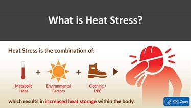 image explaining heat stress