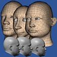 A computer graphics-based visualization method is being used for visualizing head-and-face shape variation among civilian populations. 