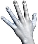 Digital hand modeling for protective gloves sizing applications