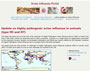 cover page - World Organization for Animal Health (OIE) Update on Avian Influenza