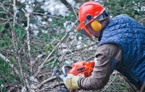 Person chainsawing fallen tree