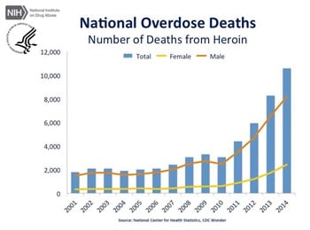 overdose death chart