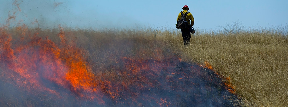 Wildland Firefighter conducts back burn of dry grass to deny additional fuel sources in the event of a wildfire. Image provided by US Forest Service Technology and Development Program.
