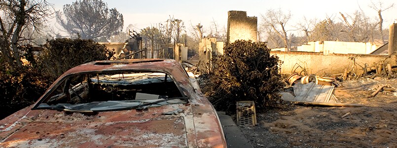 Burned remains of trees, vehicles, and houses present many hazards during cleanup activities following a wildfire. iStock/Getty Images Plus