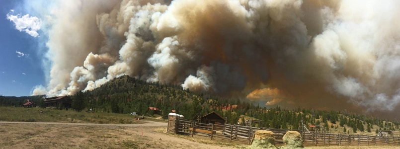 Wildfires and fires occurring in the wildland-urban interface (where wildland vegetation and urban areas meet) may present a major health hazard to outdoor workers from exposure to smoke. Image by NIOSH.