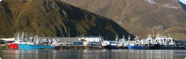 Commercial fishing vessels docked along fish processing facility. 