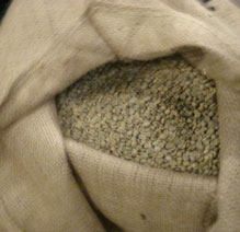 Green coffee beans in a burlap bag