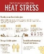 Heat Stress Infographic Thumbnail Preview