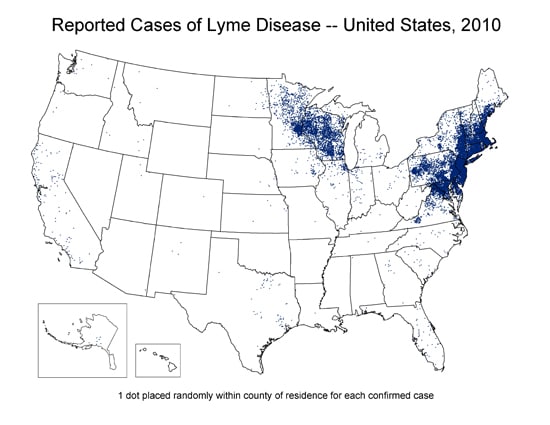 Map of the USA with highlighted areas impacted by Lyme disease