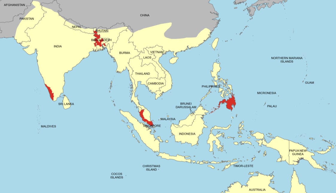 Map showing presence of fruit bats and Nipah outbreaks