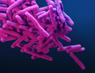 medical illustration of drug-resistant, Mycobacterium tuberculosis bacteria