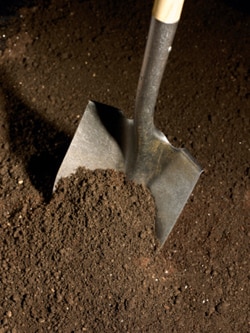 shovel and soil