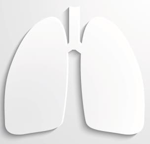 white paper cut out in the shape of a pair of lungs