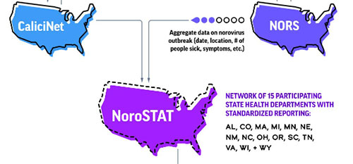 NoroSTAT extracts data from the CaliciNet and NORS systems.