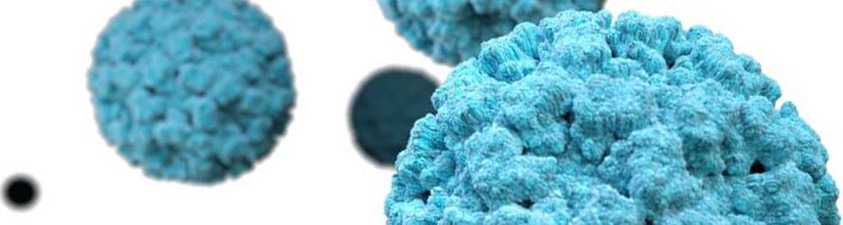 Vista tridimensional de un virión de norovirus azul claro (partícula viral), sobre un fondo blanco.
