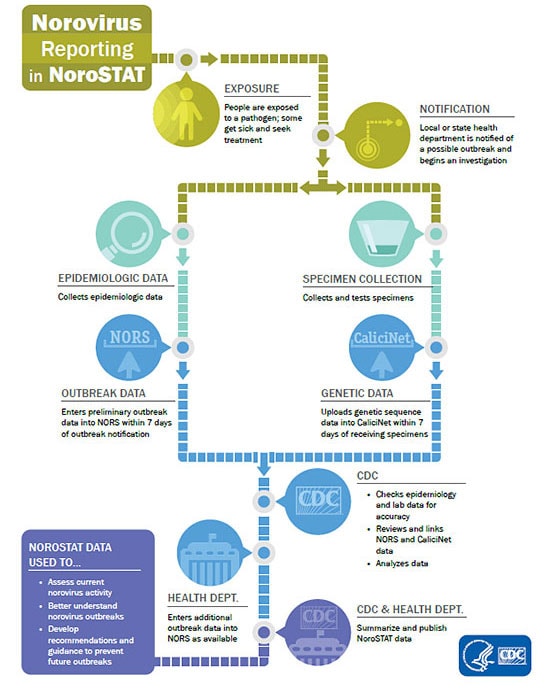 Flow chart showing how norovirus data gets reported, analyzed and disseminated through the NoroSTAT network. Norovirus outbreak reporting in NoroSTAT