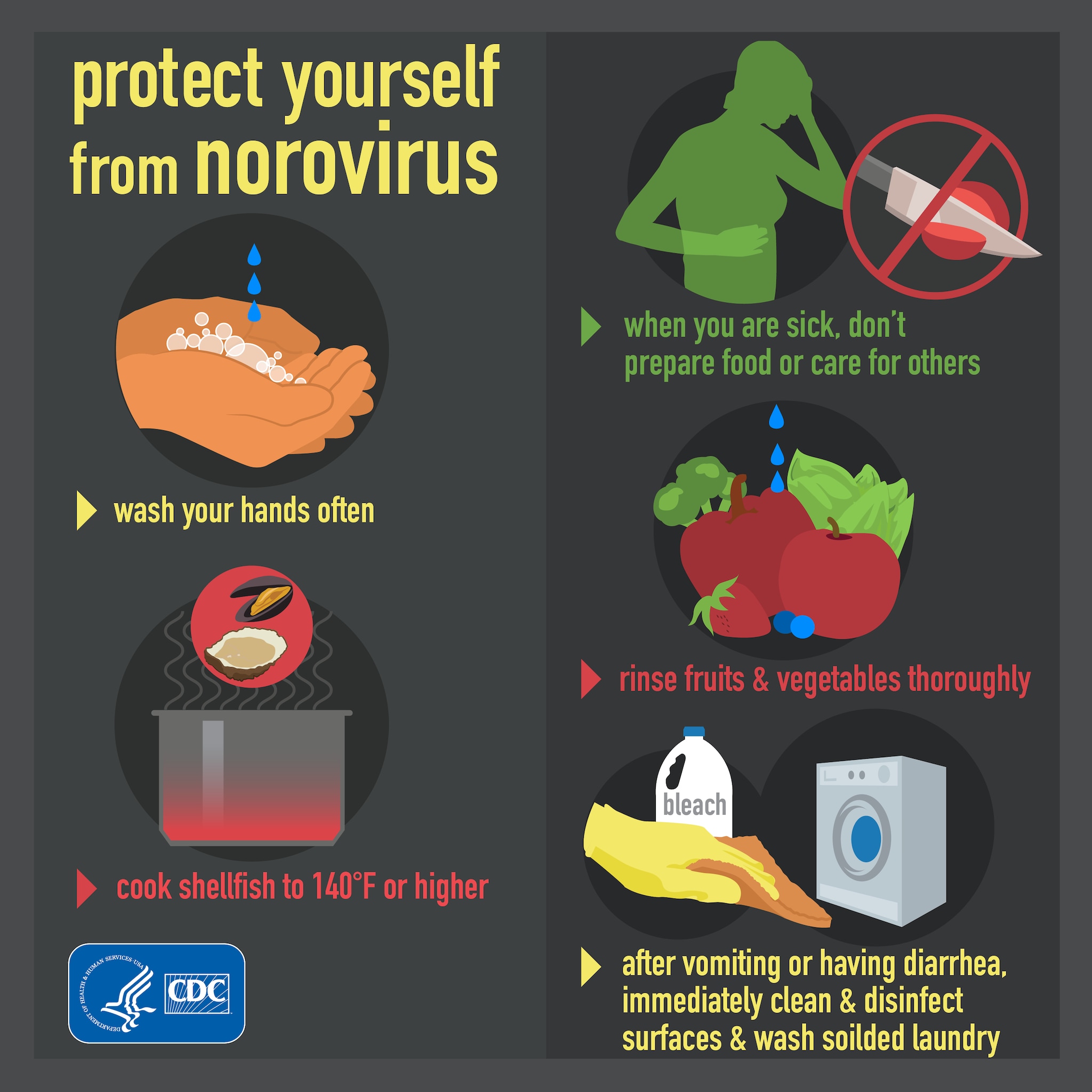 Norovirus Multimedia | CDC
