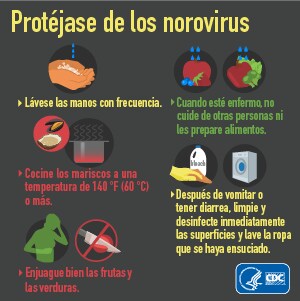 Formas de prevenir brotes de norovirus por los alimentos