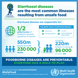 Infographic: Foodborne Diseases Are Preventable. Everyone Has a Role to Play.