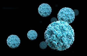 Imagen de microscopia electrónica de viriones de norovirus