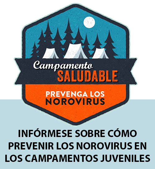 Infórmese sobre cómo prevenir los norovirus en los campamentos juveniles.