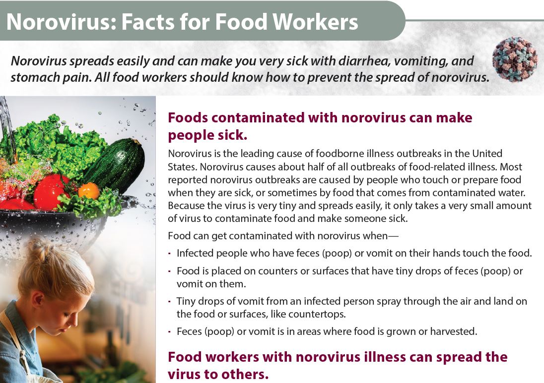 Thumbnail of norovirus prevention fact sheet for food workers.
