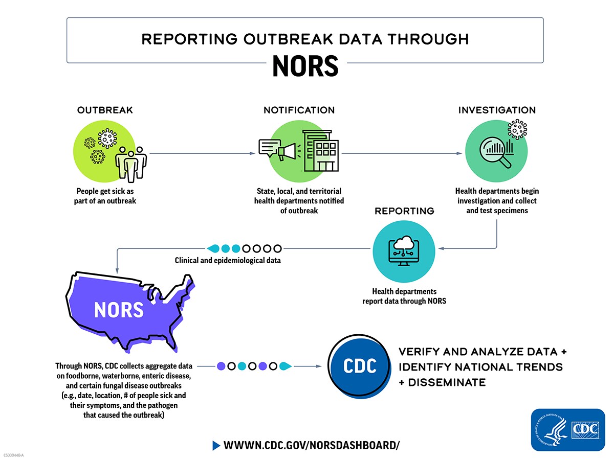 The general flow of outbreak information to NORS: 1) People are exposed to a pathogen; 2) People get sick and seek treatment 3) Health department is notified of a possible outbreak; 4) Health department conducts an outbreak investigation; 5) Health department enters outbreak information into NORS; 6) CDC checks data for accuracy and analyzes; 7) Data are summarized and published.