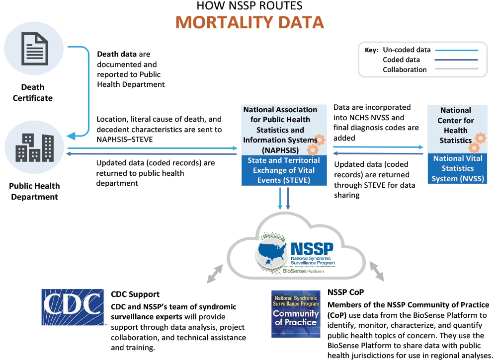 How Sites Route Mortality Data to NSSP