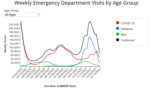 Weekly Emergency Department Visits by Age Group Dashboard