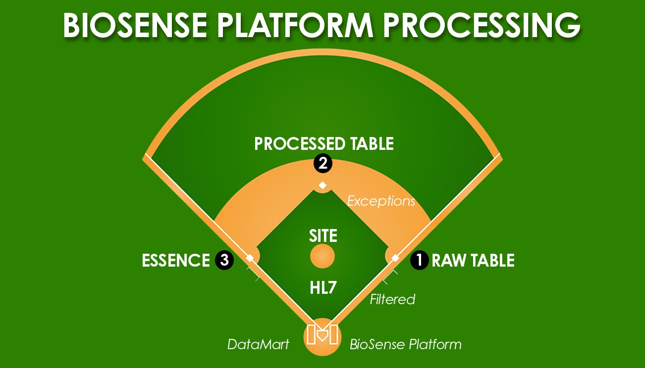 Baseball diamond representing the BioScense Platform processing steps