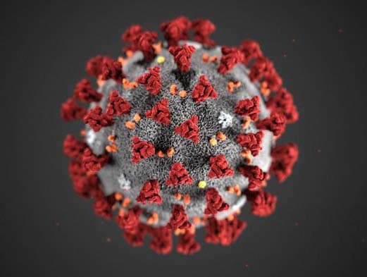rendering of coronavirus