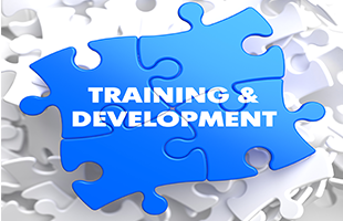 Puzzle pieces creating background for training and development