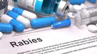 medications with rabies literature