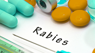 Maine Monitors Reporting for Rabies | National Syndromic Surveillance ...