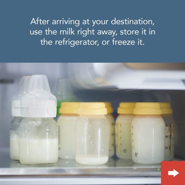 After arriving at your destination, usse the milk right away, refridgerate, or freeze it.