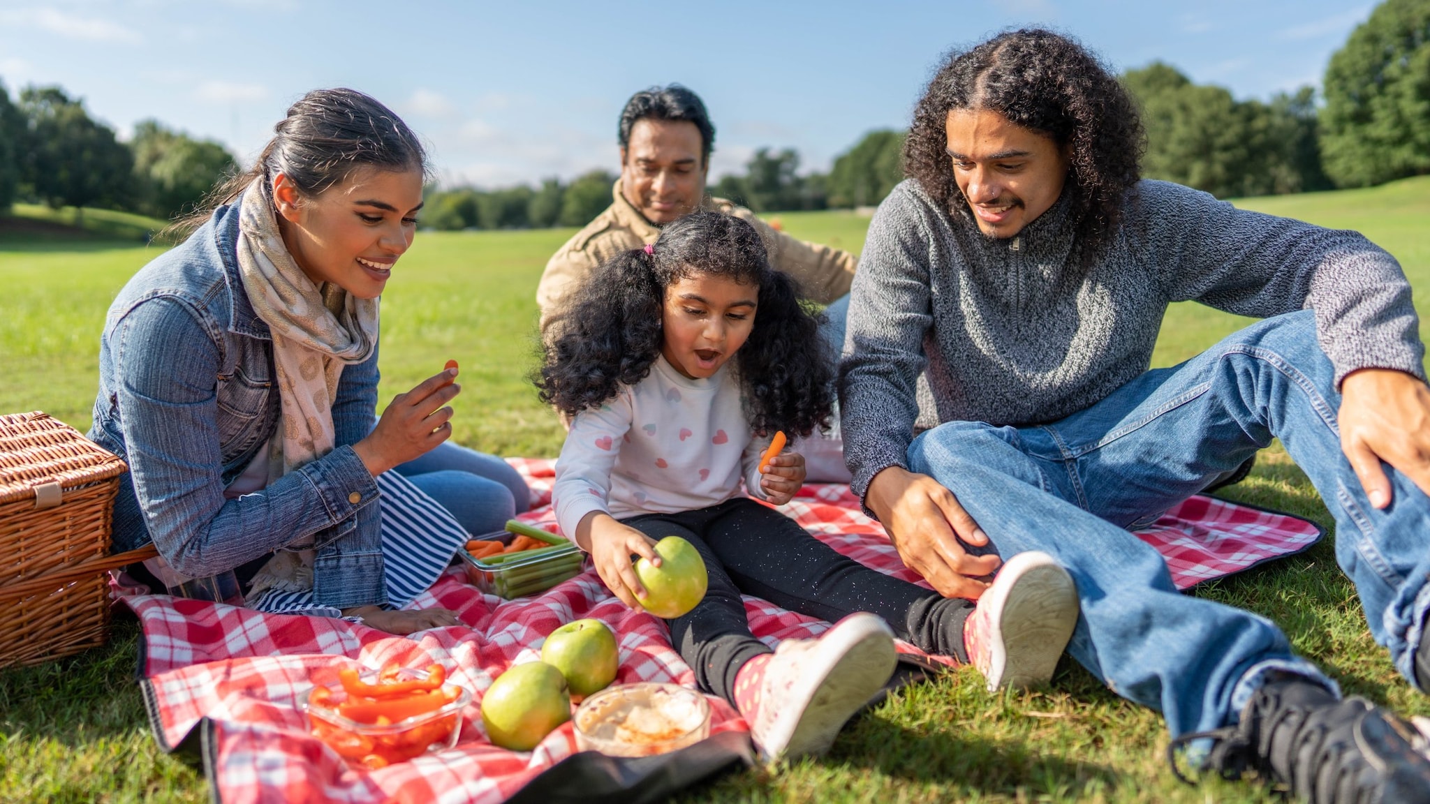 Four people having an outdoor picnic with healthy food.