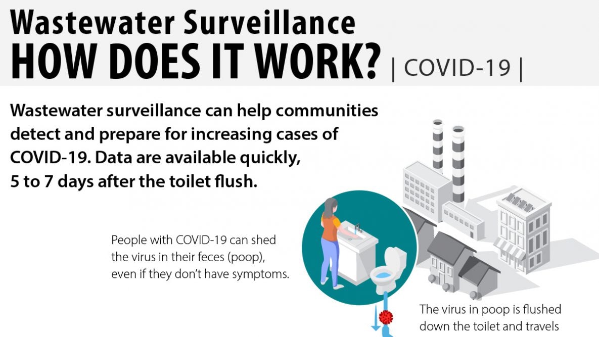 Wastewater Surveillance—How Does It Work? infographic