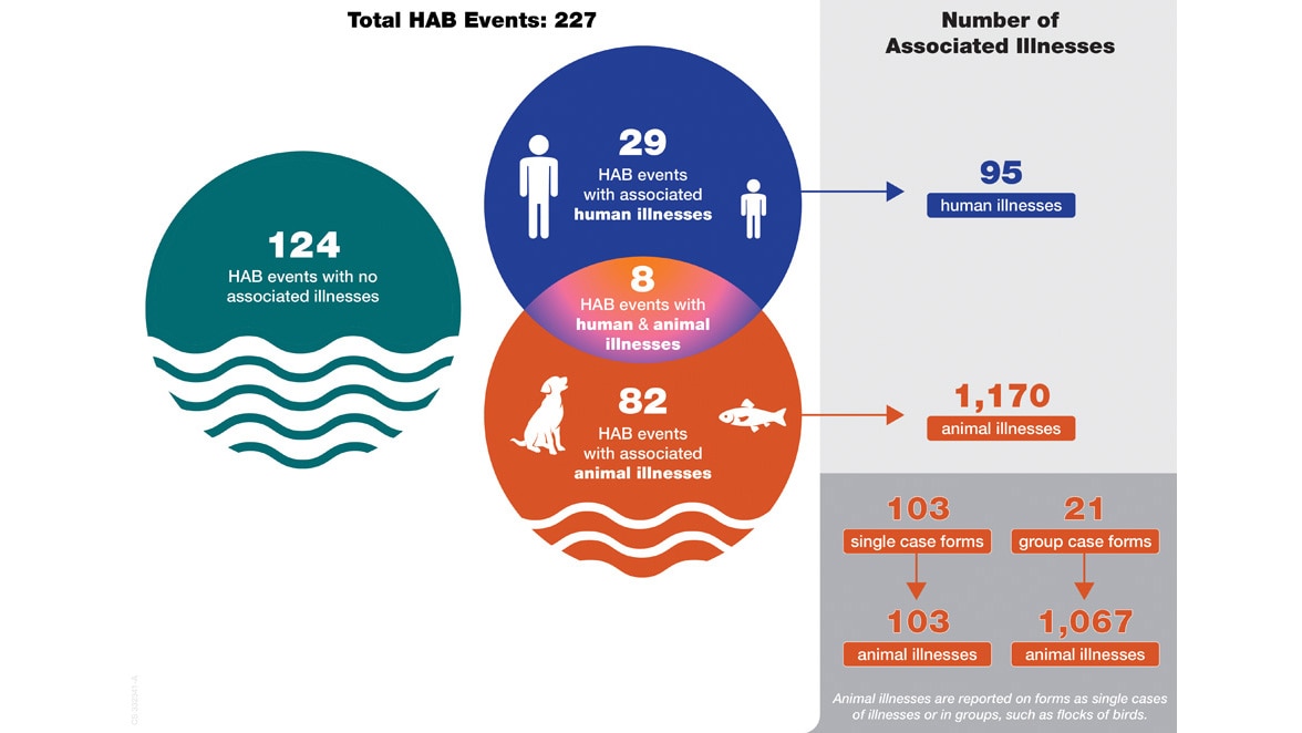 Figure 2: Reported HAB events with associated human and animal cases, 2020.