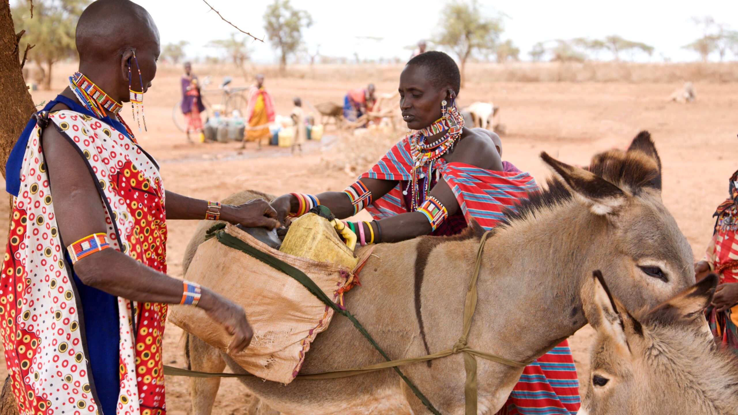 A young Masai woman helping an older woman loading a donkey with water cans from a well in a very dry African landscape.