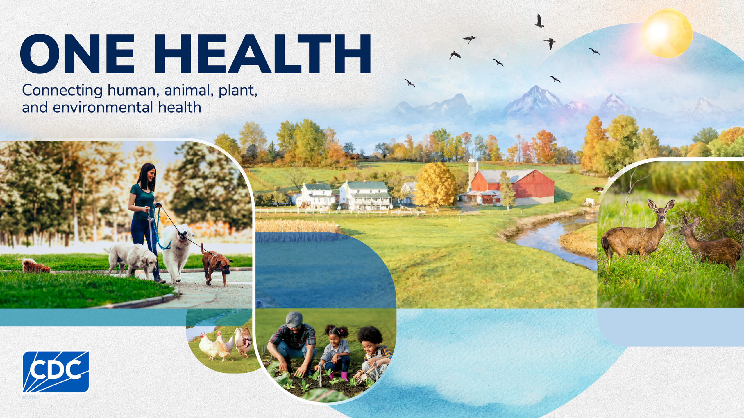 A collage-style One Health promotional graphic featuring photographs and illustrations of people, animals, plants, farms, and natural environments.
